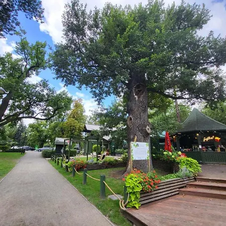 Aquarius Kilinskiego 1 アパート